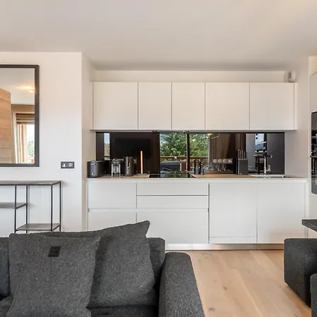 Apartment Spacieux Avec Acces Bien-etre, Proche Des Pistes Et Du Centre De - Fr-1-569-46 Megeve
