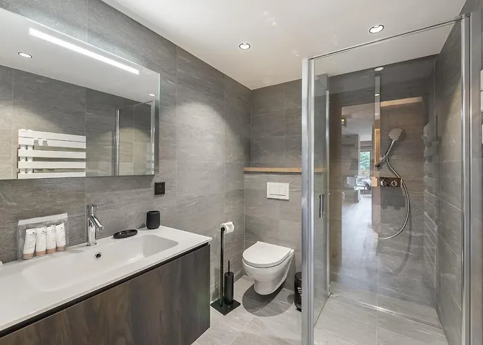 Spacieux Avec Acces Bien-etre, Proche Des Pistes Et Du Centre De - Fr-1-569-46 Appartement