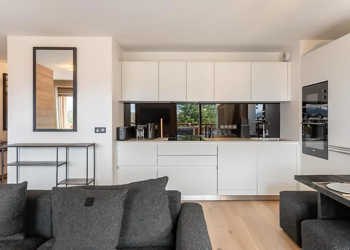 Appartement Spacieux Avec Acces Bien-etre, Proche Des Pistes Et Du Centre De - Fr-1-569-46 Megève